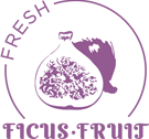 Logo_frutas_ficus_pequeña_2